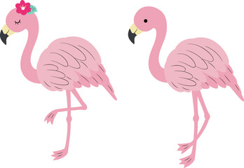 Cute flamingo illustration, two postures