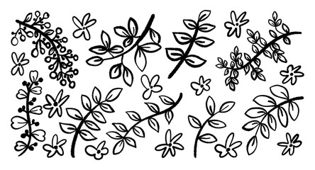Decorative elements, set of painted branches of leaves and flowers. Doodle design.