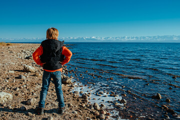 Boy standing on the shore of the lake and admiring the scenery, back view