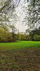 Fototapeta premium path in the park