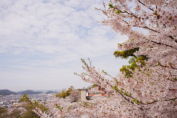 Cityscape of Wakayama from Kimii-dera Temple in Wakayama, Japan - 日本 和歌山 紀三井寺からの街並み