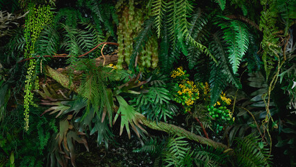 Close-up view of a group of tropical green leaves, textured and abstract background. This natural...