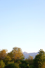 Fototapeta premium Mountain forest, illuminated by warm sunlight.