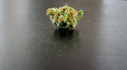 Closeup of mature blooming head of weed cannabis marijuana isolated on a black background.