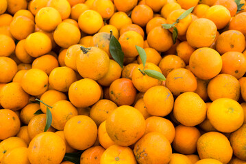 Citrus sell in the fruit store in the market