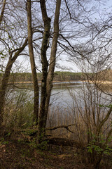 lake and trees without foliage in spring