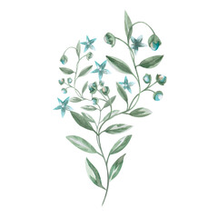 Bouquet of flowers in pastel colors in watercolor illustration on a white background. Hand drawn for children's cards, invitations, decorations for children's parties.