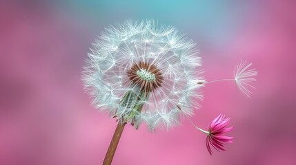   A dandelion floats in the wind against a pink-blue backdrop; a pink blossom lies nearby in the foreground