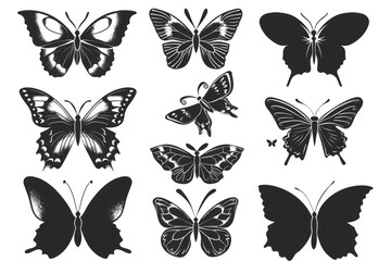Black and white butterflies on a plain white background. Ideal for nature or minimalist design concepts