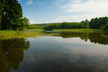 Studzieniczna Lake, summer landscape on a sunny day