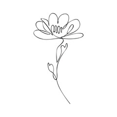 Vector continuous one simple single abstract line drawing of Flower isolated on a white background