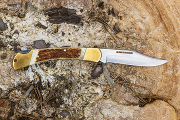 folding knife with antler handleis laid on a wooden sponge
