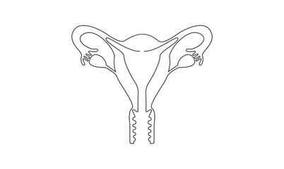 Vector continuous one simple single abstract line drawing of woman uterus concept of medical