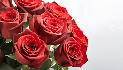 Bouquet of red roses in a white background