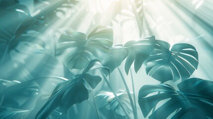  plants with sunlight filtering through their leaves