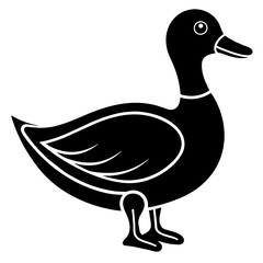 Duck vector silhouette illustration