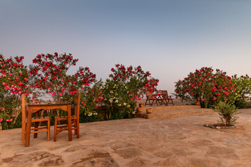 Fototapeta premium private house at the gates of the Sahara desert