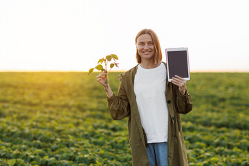 Smiling female agronomist holds digital tablet with mockup screen and soya plant in hand in field,...