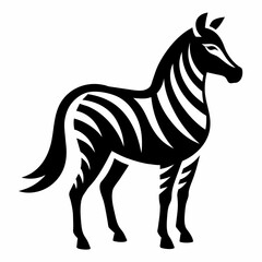zebra vector illustration