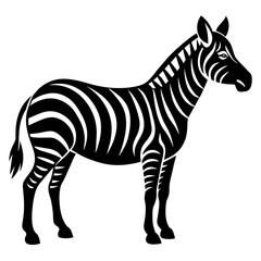 zebra vector illustration