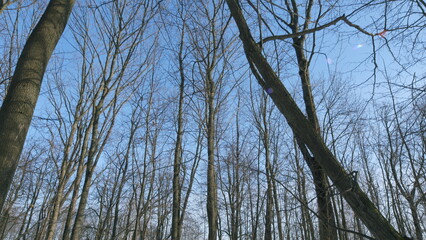 Spring Is Coming. Magnificent Snowy Landscape On A Sunny Day. Tree Shadows. Early Spring Landscape...