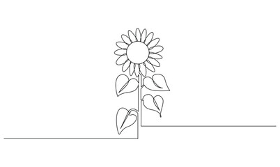 Vector continuous one simple single abstract line drawing of sun flower isolated on white background