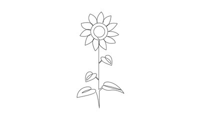 Vector continuous one simple single abstract line drawing of sun flower isolated on white background