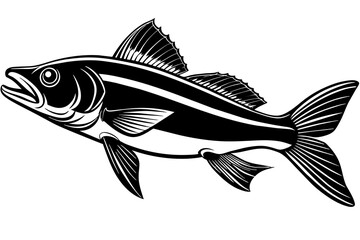 Common snook fish vector silhouette illustration isolated on a white background 