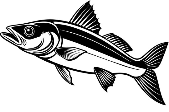 Common snook fish vector silhouette illustration isolated on a white background 