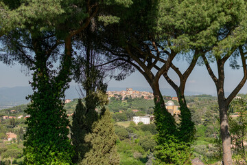 Stunning panoramic landscape - view through the trunks of tall trees to a distant stone Italian...