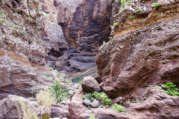 Masca Gorge is a narrow valley in the north-west of the island of Tenerife.