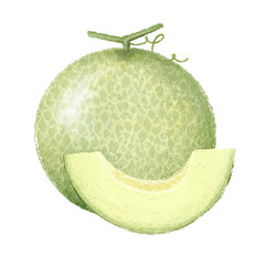Melon Hand Drawn Illustration Image