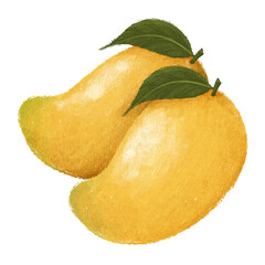Mango Hand Drawn Illustration Image
