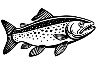 Trout fish vector silhouette illustration on a white background 