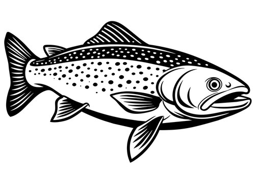 recommend clip art: Trout fish vector silhouette illustration on a white background 
