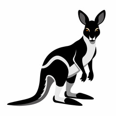 kangaroo-coler-soled-black-and-white-backround