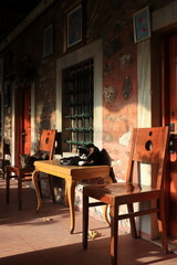 interior of a cafe
