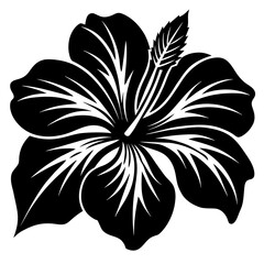 Hibiscus flower silhouette vector illustration isolated on a white background 