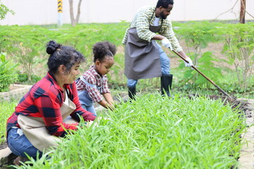 Happiness black family study learning to prepare the soil before planting vegetables.