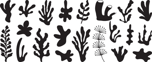 Seaweed silhouettes, coral black icon. Abstract organic shape, underwater plant, matisse element, cute sea doodle. Cartoon marine floral set isolated on white background. Simple vector illustration