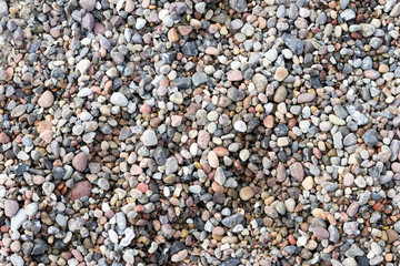 Pebbles and round stones on the beach, typical of the Baltic Sea