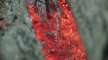 Forest bonfire. Smoldering and iridescent hot coals in different shades of red. Slow motion.