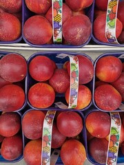 Birds eye view on plastic baskets filled with delicious, fresh, plump nectarines lined up for sale...
