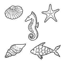 Sea life set. Hand drawn sea shells, star, horse and fish vector illustrations in doodle style. Sketch isolated on white background. Marine underwater design elements. Summer sea clipart.