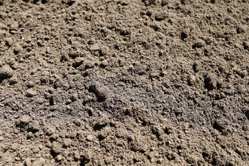 A close-up of fertile arable land. Black soil. Texture.