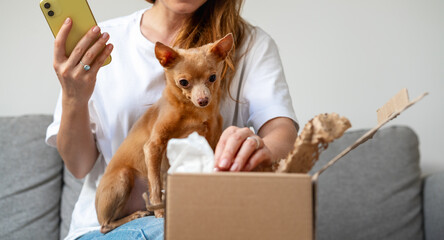 A small toy terrier dog looks at an online purchase in a cardboard box while the owner unpacks it.