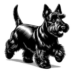 Cute Scottish Terrier dog in full-body, hand drawn sketch. Vector isolated on white background	