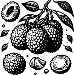 Lychee fruit black outline illustration. Coloring book.