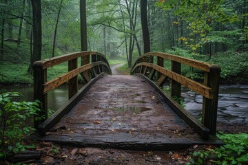 Fototapeta premium An atmospheric image captures a quiet wooden bridge over a serene creek, surrounded by the lush foliage of a misty forest detailing a journey or contemplation