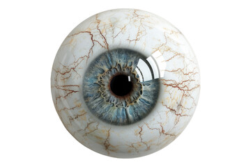 Synthetic human eye ball isolated on transparent background.
